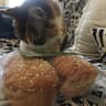 Pazzi Buns