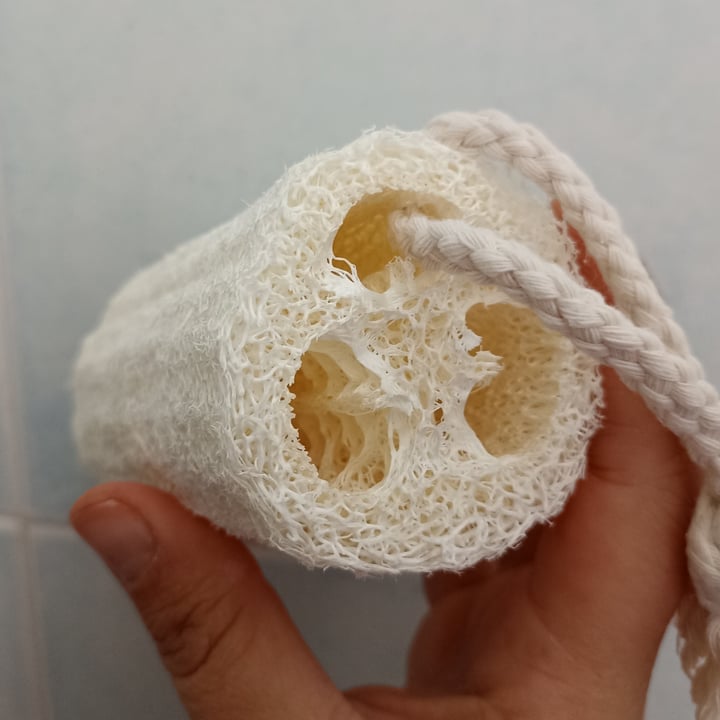 photo of Flying Tiger Natural sponge shared by @nicoleseveri on  21 Apr 2022 - review