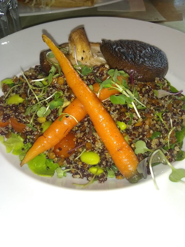 review photo of Crepes & Waffles Bowl Shiitake shared by @dharma269 on 09 Aug 2019 - review