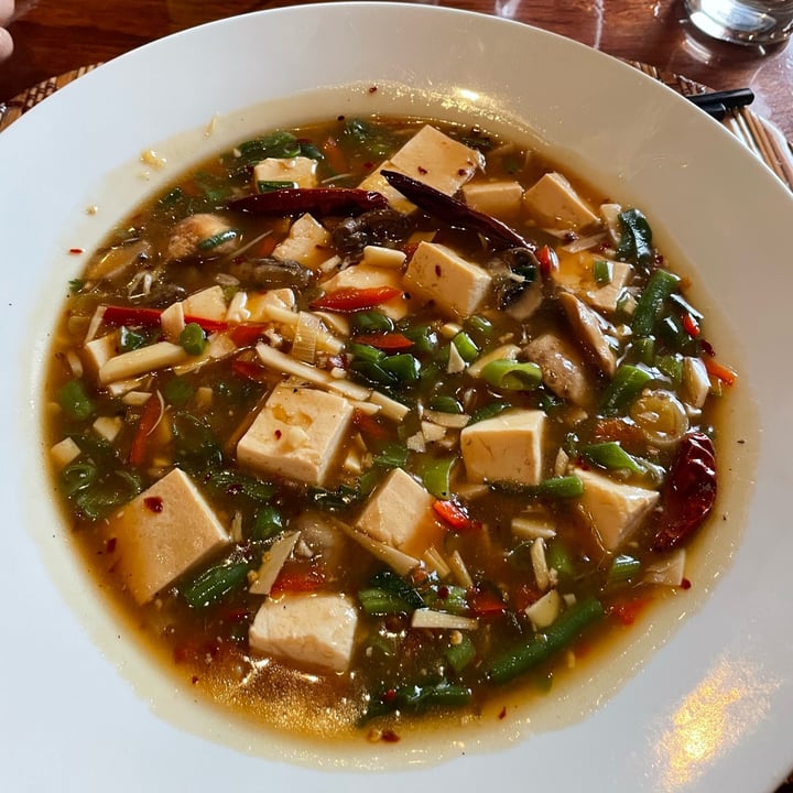 photo of Tin Jo Asian Restaurant Sichuan spicy Ma Po tofu shared by @veggietico on  11 Feb 2022 - review