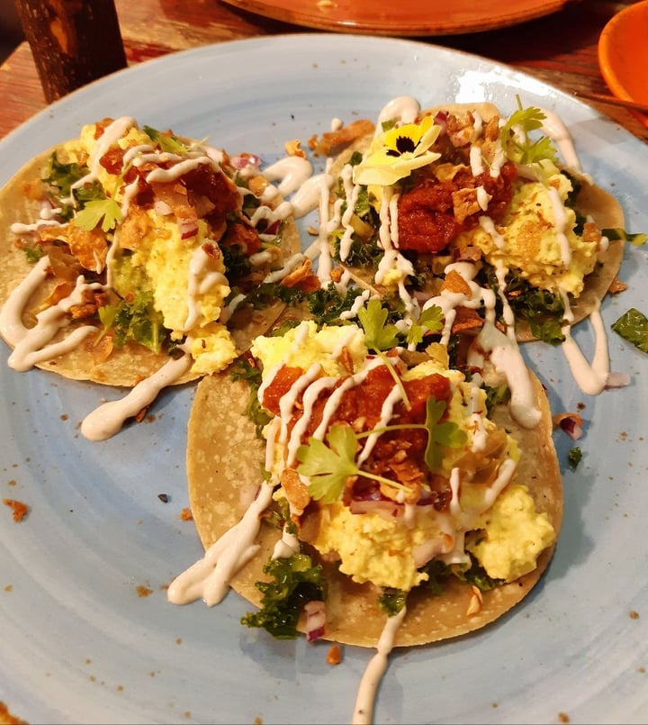 photo of The Vegan Shack What You Taco'n Bout Willis shared by @meghna22 on  02 Dec 2019 - review