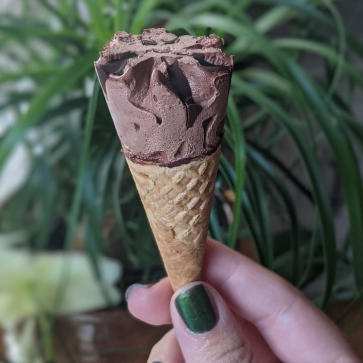 photo of Trader Joe's Hold the Dairy Mini Coconut Non-Dairy Frozen Dessert Cones shared by @iszy on  06 Oct 2021 - review