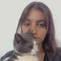 renatacoller @renatacoller profile image