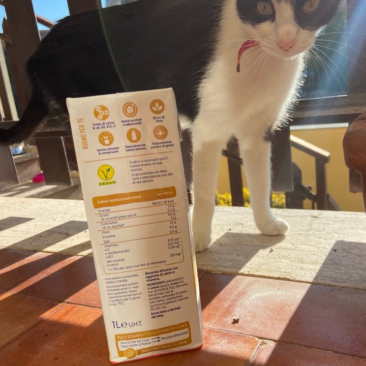 photo of Alpro Avena Senza Zuccheri shared by @valeeeematteiiii04 on  15 Oct 2022 - review