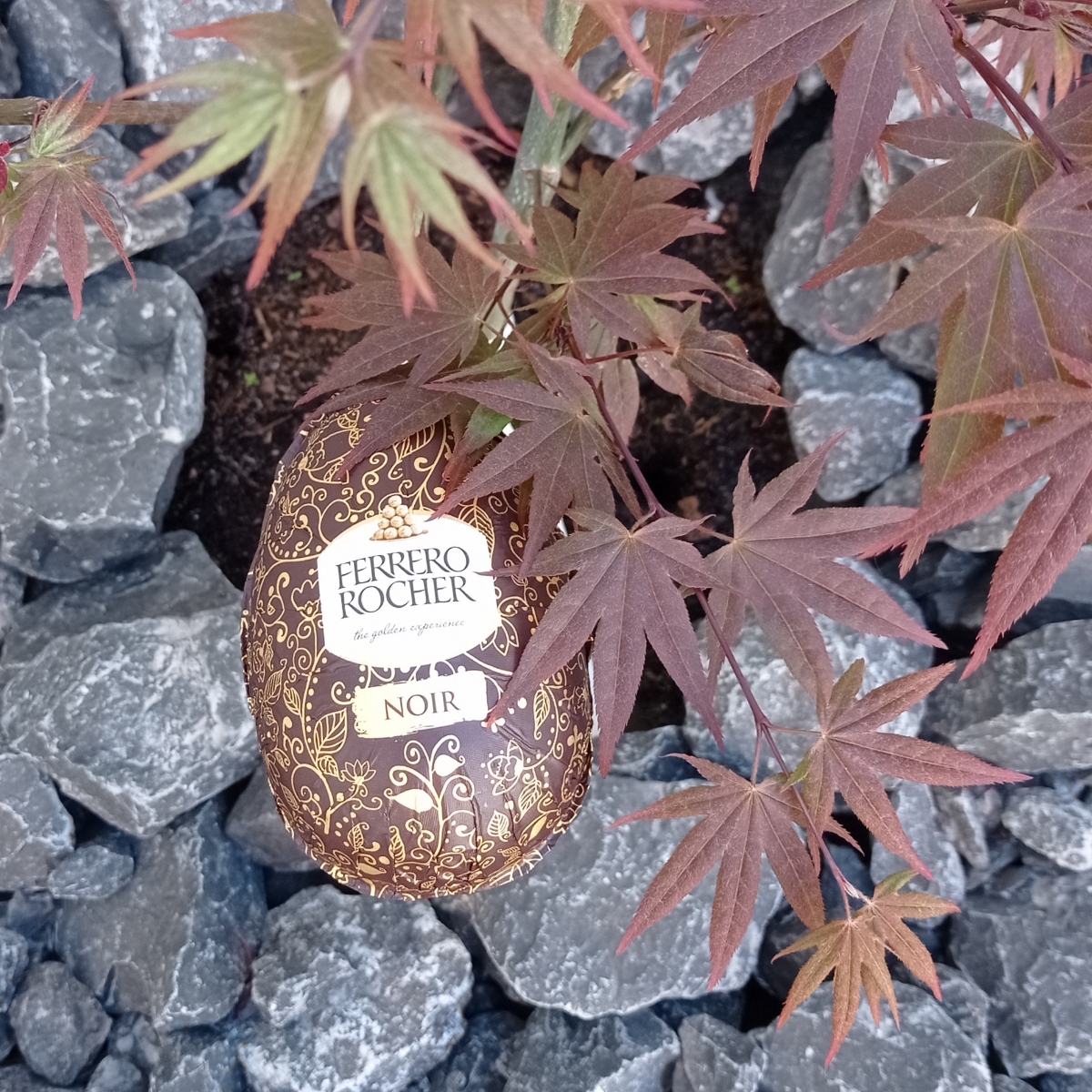 Dark chocolate and hazelnut Easter egg from Ferrero Rocher - Vegan ...