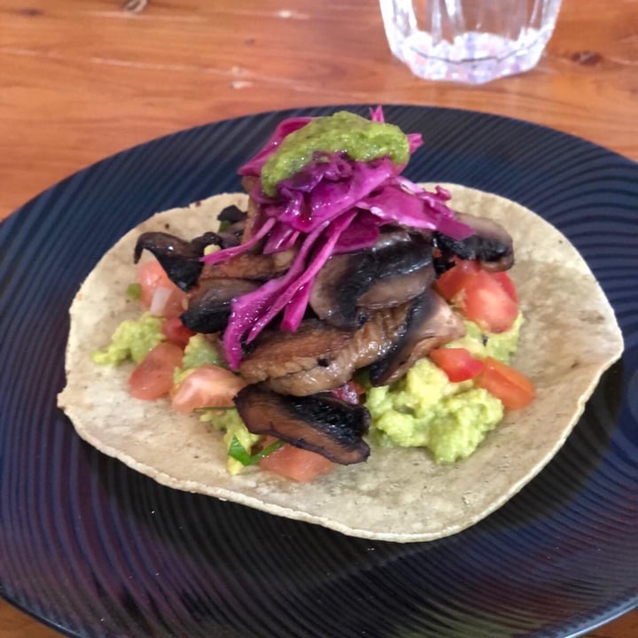 photo of Oh My Days Vegan Cafe Tacos - Mushroom carnitas shared by @katkaverzine1 on  12 Jul 2020 - review