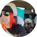 vegankenji @vegankenji profile image
