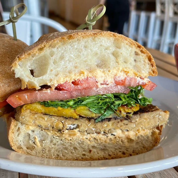 photo of Holi Vegan Kitchen Jerk Tempeh Sandwich shared by @sangria on  26 Mar 2022 - review