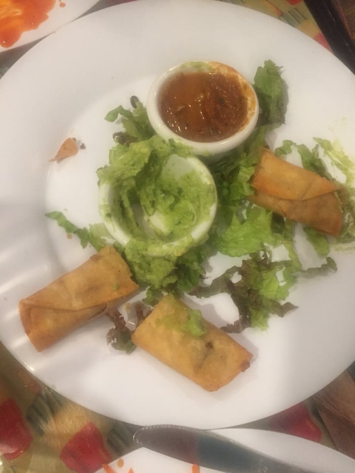 photo of Saturn Cafe Berkeley Taquito appetizer shared by @klc on  04 Mar 2019 - review