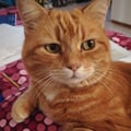 floriana97 @floriana97 profile image