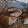 Costumbres Argentinas