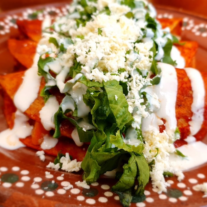 photo of Mictlan Antojitos Veganos Chiltlaxcalli enchiladas en salsa roja rellenas de papa y zanahoria shared by @bernardini96 on  15 Jun 2022 - review