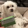 Dr. Bronner's