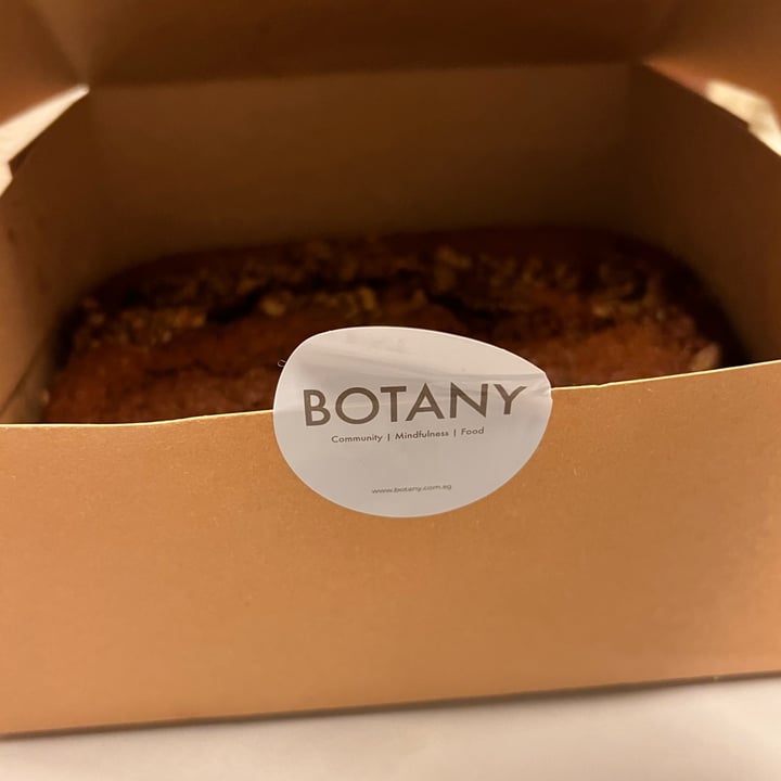 photo of Botany Robertson Quay Carrot Walnut Cake shared by @skootykoots on  07 Sep 2022 - review