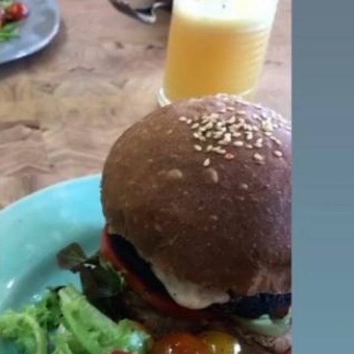 photo of Lexi's Healthy Eatery Beyond Burger shared by @pushpavegan on  16 Feb 2021 - review