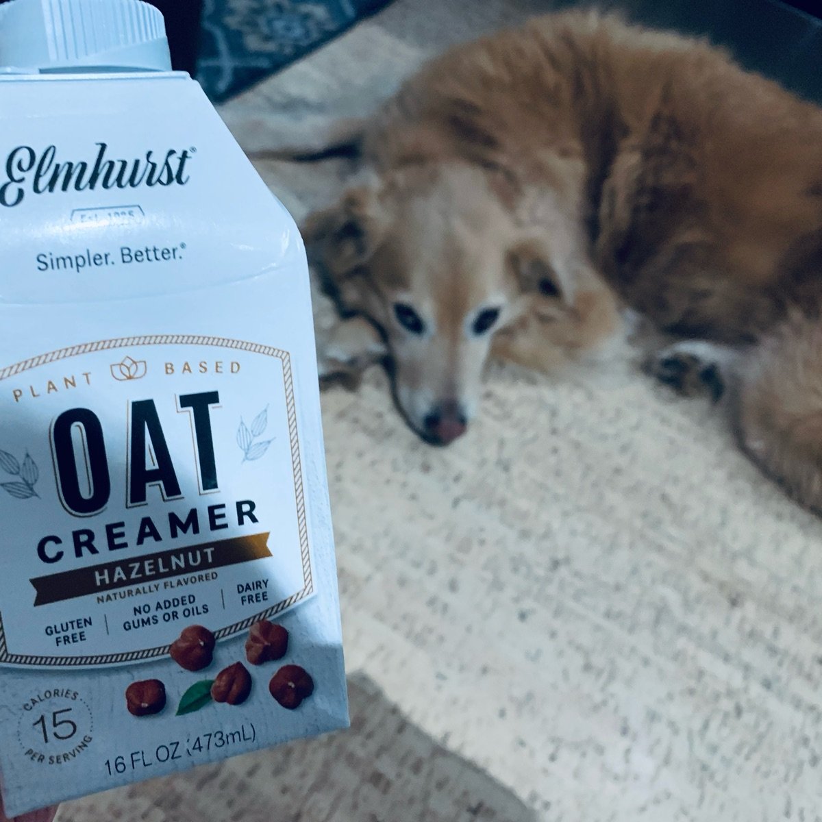 Elmhurst 1925 Oat creamer hazelnut Reviews abillion