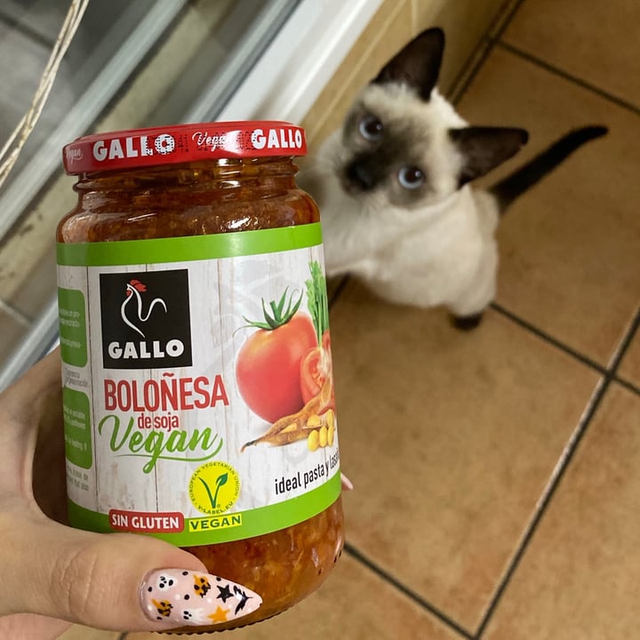 photo of Gallo Salsa Boloñesa shared by @crisveganqueen on  27 Oct 2020 - review