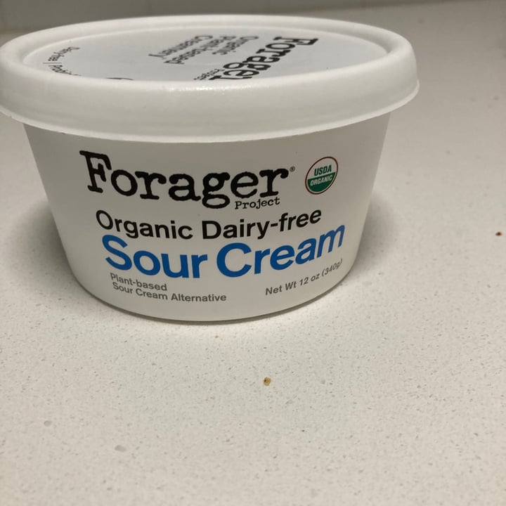 Forager Project Organic Dairyfree Sour Cream Review abillion
