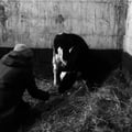 annaskeens @annaskeens profile image