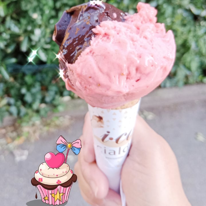 photo of Non solo gelato Vegan ICE Cream shared by @lauragiovani on  17 May 2022 - review