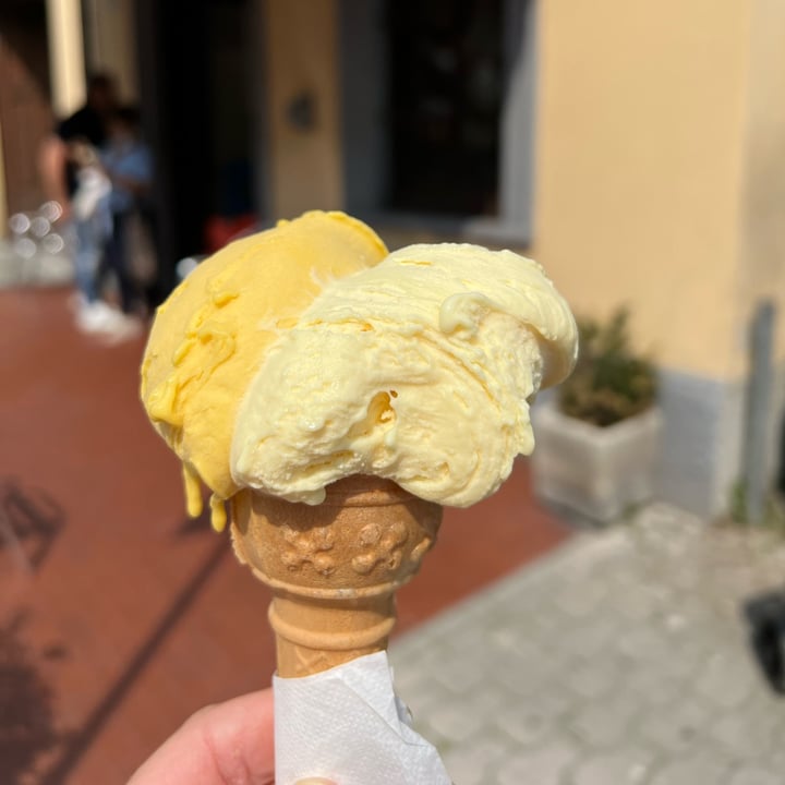 review photo of Gelateria La Fragola Gelato Artigianale shared by @ele73 on 24 May 2022 - review