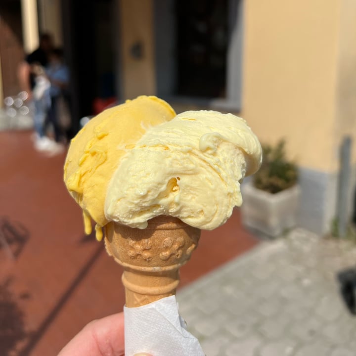 photo of Gelateria La Fragola Gelato Artigianale shared by @ele73 on  24 May 2022 - review