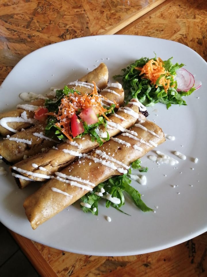review photo of Ramé Fonda Vegana Flautas shared by @mono on 16 Sep 2019 - review