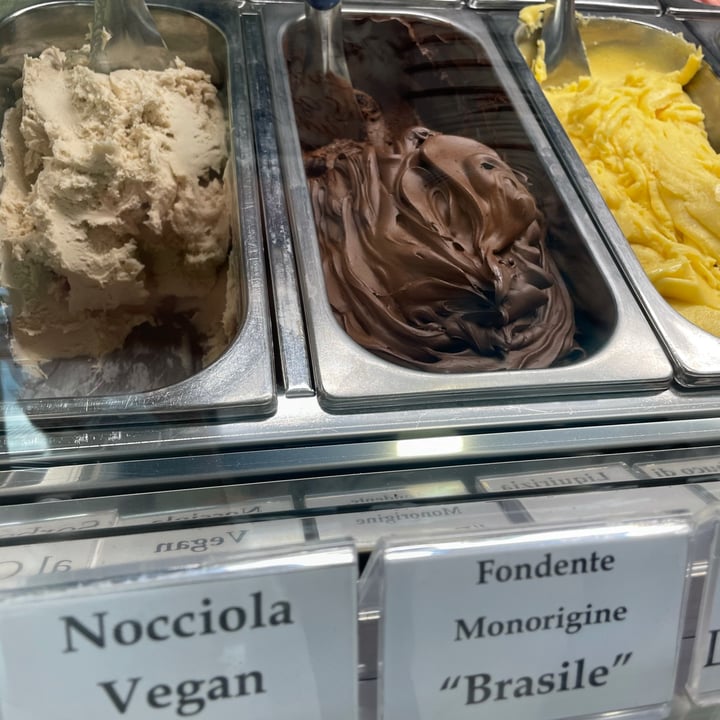 photo of "Il Gelatiere" Gelateria Marina di Pian Marina & C. Gelato Cioccolato Fondente e Mango shared by @whale8 on  26 Mar 2022 - review