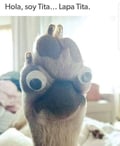 javiveg @javiveg profile image