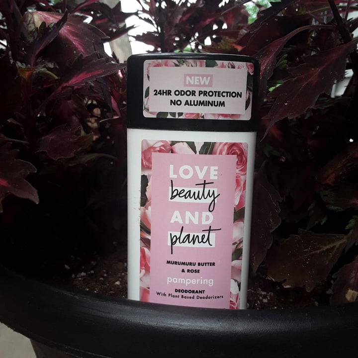 review photo of Love Beauty and Planet Deodorant Murumuru butter and roses shared by @ohtobeahayes on 11 Jun 2021 - review