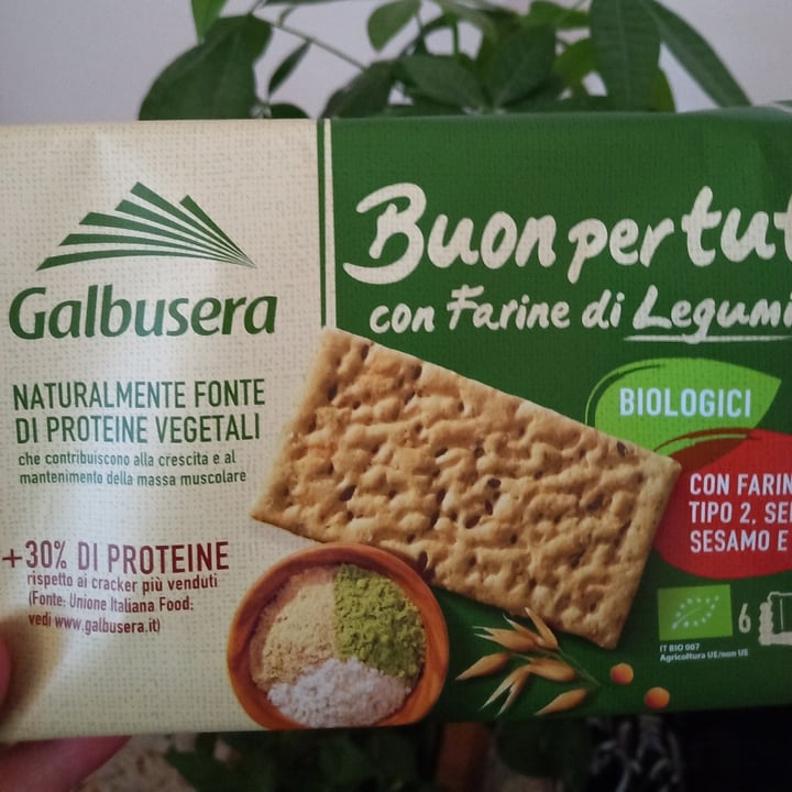 review photo of Galbusera Buon Per Tutti con Farina di Legumi (Nuova Ricetta) shared by @ollivia on 12 Jul 2022 - review
