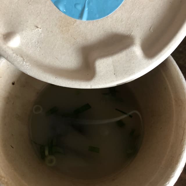 Photo of the dish “missoshiro”