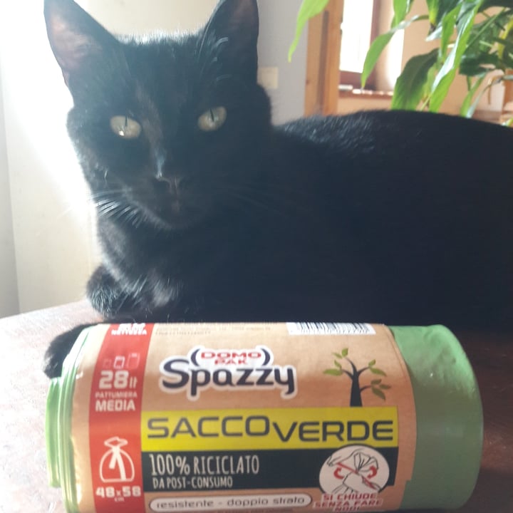 photo of domo pack spazzy sacco verde 100% riciclato shared by @giuliacarosio on  15 Oct 2021 - review