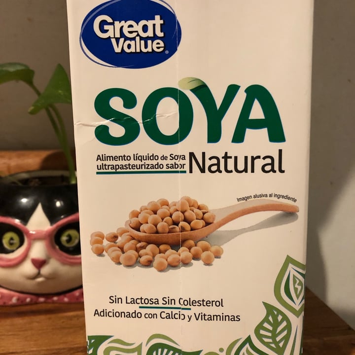 photo of Great Value  Alimento líquido de soya shared by @isabelinzunzaa on  14 Dec 2020 - review