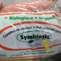 symbiosis
