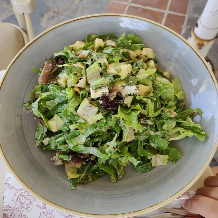 photo of Let’s Vegan Rethymno Restaurant Pandora Salad shared by @chenchen on  14 Sep 2021 - review