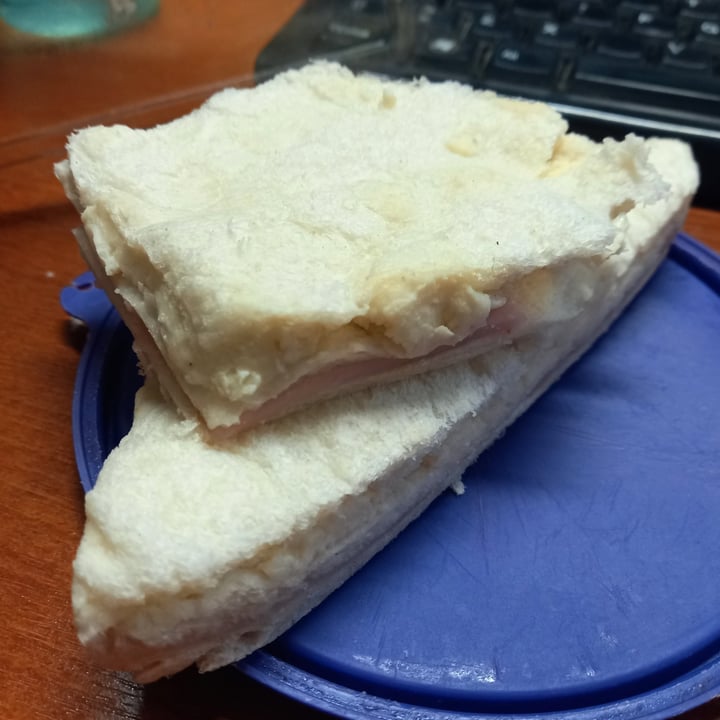photo of Futuro Veggie Sándwich De Miga Jamón y Queso shared by @tammbenitez on  28 Sep 2020 - review
