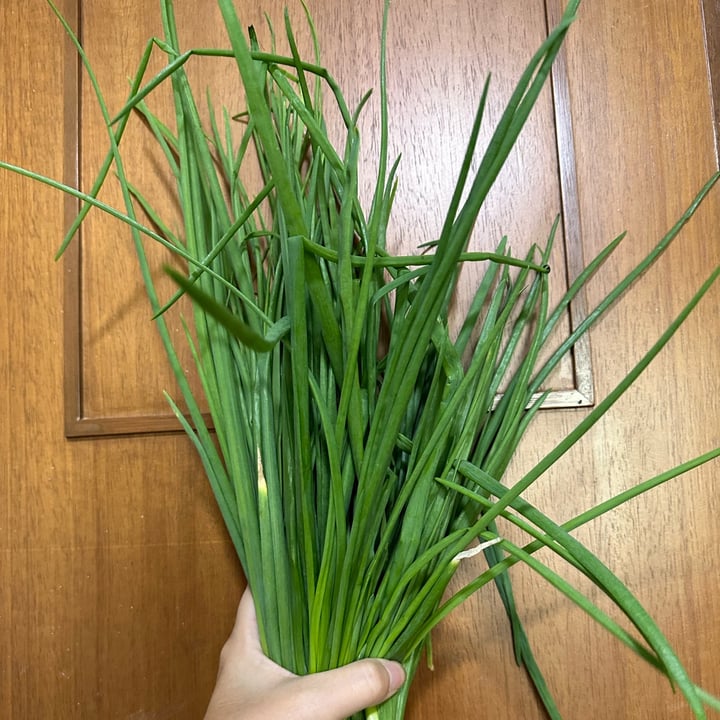 photo of Ground-Up Initiative Spring Onion shared by @piggy-egg on  24 Dec 2022 - review