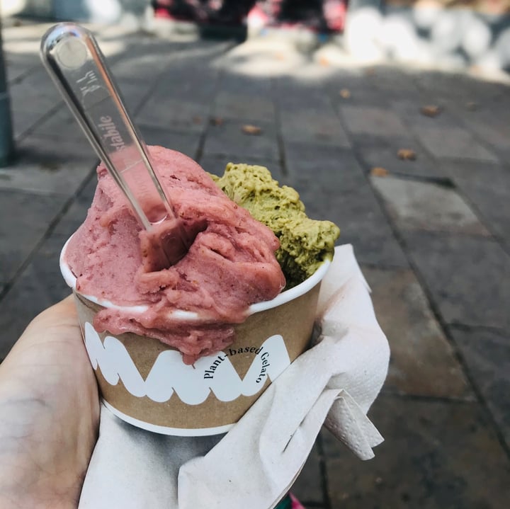 review photo of AMMA Gelato Helado shared by @almuchi on 18 Sep 2020 - review