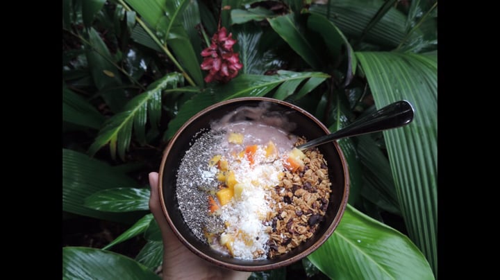 photo of Bodhi Tree Yoga Resort Breakfast Bowl shared by @thetropicalwanderer on  26 Jan 2020 - review