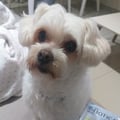 tatamileto @tatamileto profile image