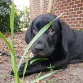 jacobunger @jacobunger profile image