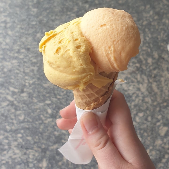 photo of gelateria Gelato Vegano shared by @pingui on  15 May 2022 - review