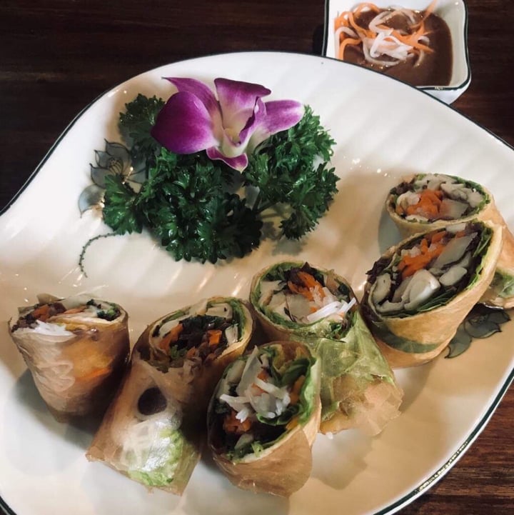 photo of Shamballa Vegetarian Restaurant & Tea House Shamballa Rolls shared by @fi-iv on  04 Jul 2019 - review