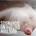 vitorlucasvegan @vitorlucasvegan profile image
