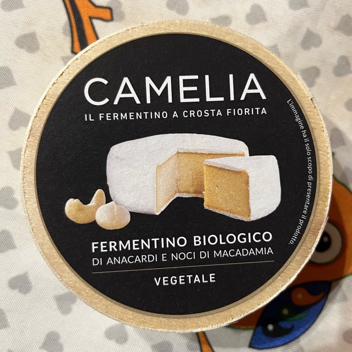 photo of Camelia Fermentino a crosta fiorita shared by @elenagobbo on  18 Sep 2022 - review