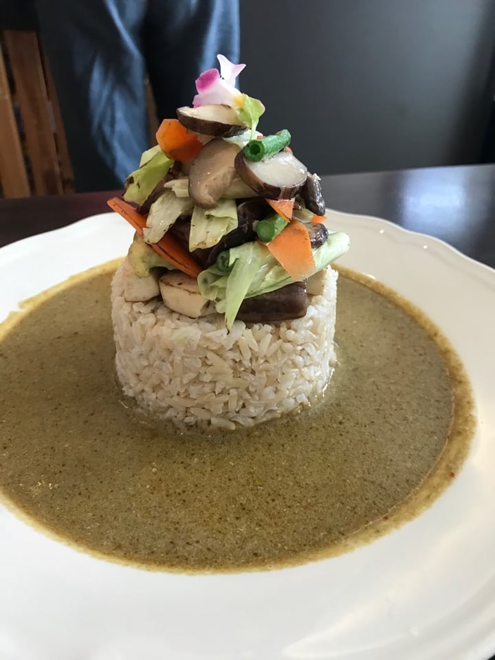 photo of Lapan Wellness Cafe Vegetables With Green Curry Sauce And Brown Rice shared by @vegkai on  20 Feb 2020 - review