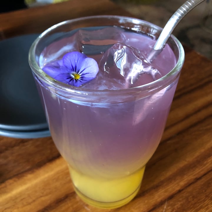 review photo of Plantasia Reina de flores shared by @alyy on 11 Jul 2022 - review