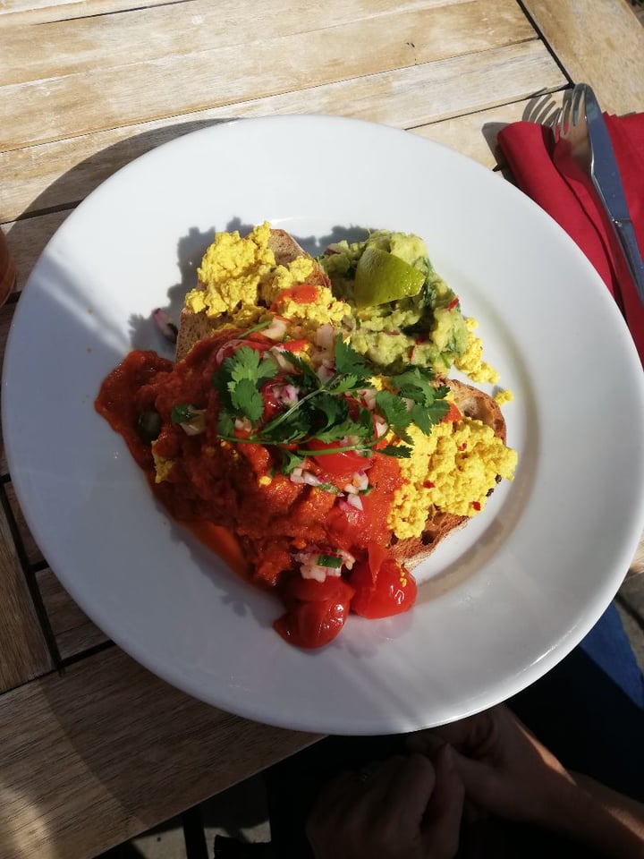 review photo of Little Green Social - Vegan restaurant Huevos Rancheros shared by @hellsrocknroll on 10 Sep 2019 - review
