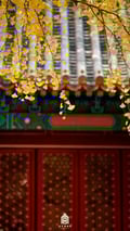 plantaepy @plantaepy profile image